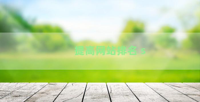 提高网站排名 s